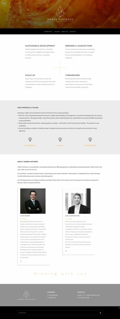 Webseite • Amber Partners